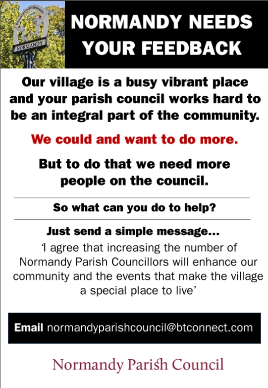 NPC poster for councillors