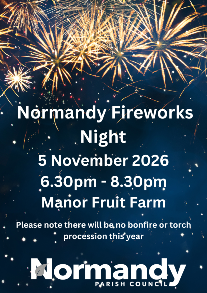 Bonfire and Firework Night (Poster)